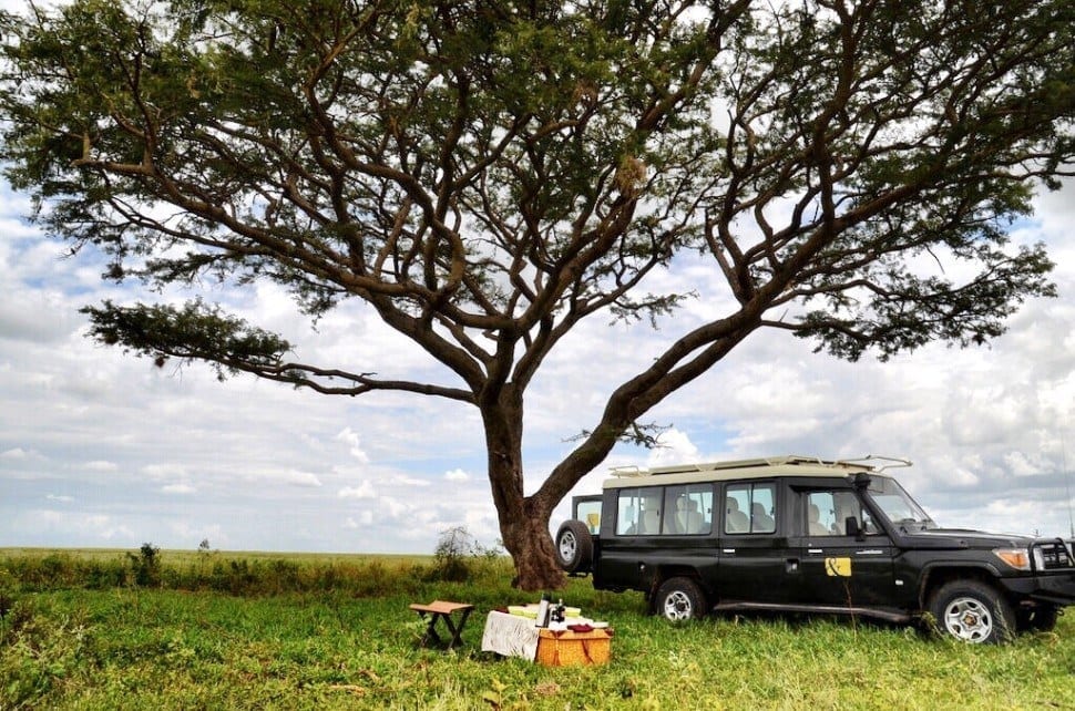 Serengeti Tanzania