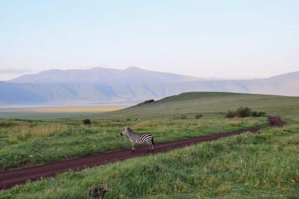 Ngorongoro Crater Tanzania