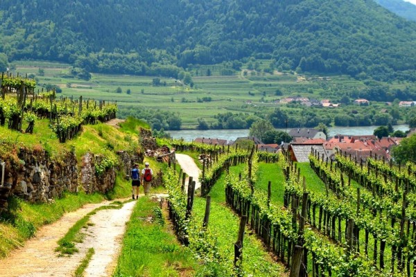 Spitz Austria Wachau Valley