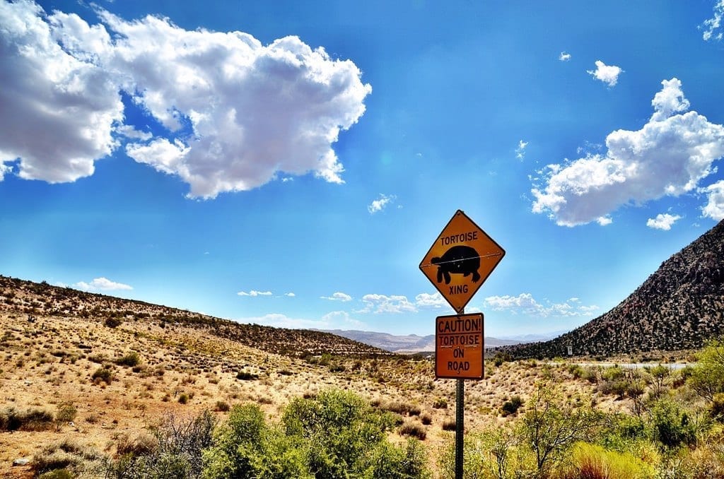 Red Rock Canyon Nevada