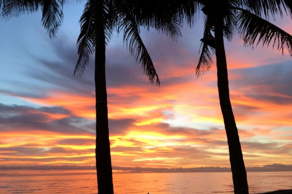 Sunrise Diplomat Beach Resort Florida