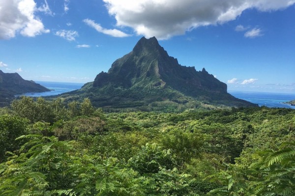Moorea Tahiti South Pacific