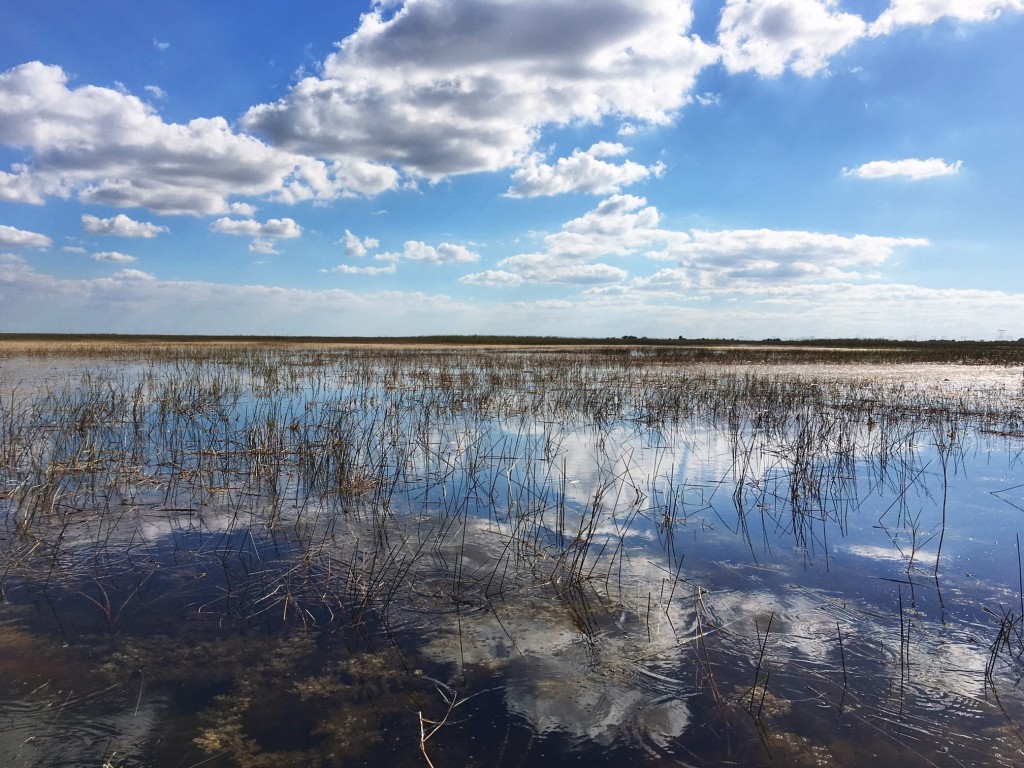 Florida Everglades