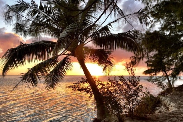 Motu Tahiti South Pacific