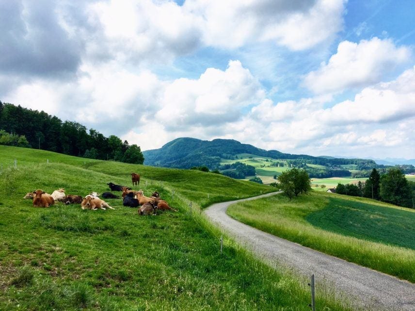 Baselland Switzerland