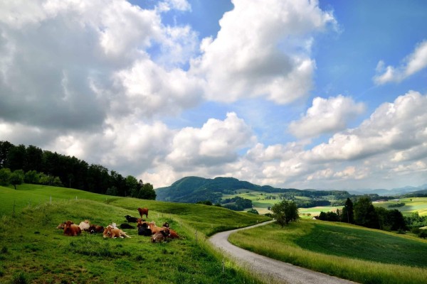 Baselland Switzerland