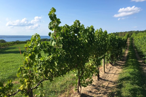 New York Finger Lakes