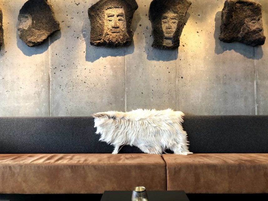 Hotel Husafell Iceland