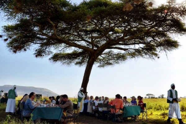 Serengeti Tanzania Africa