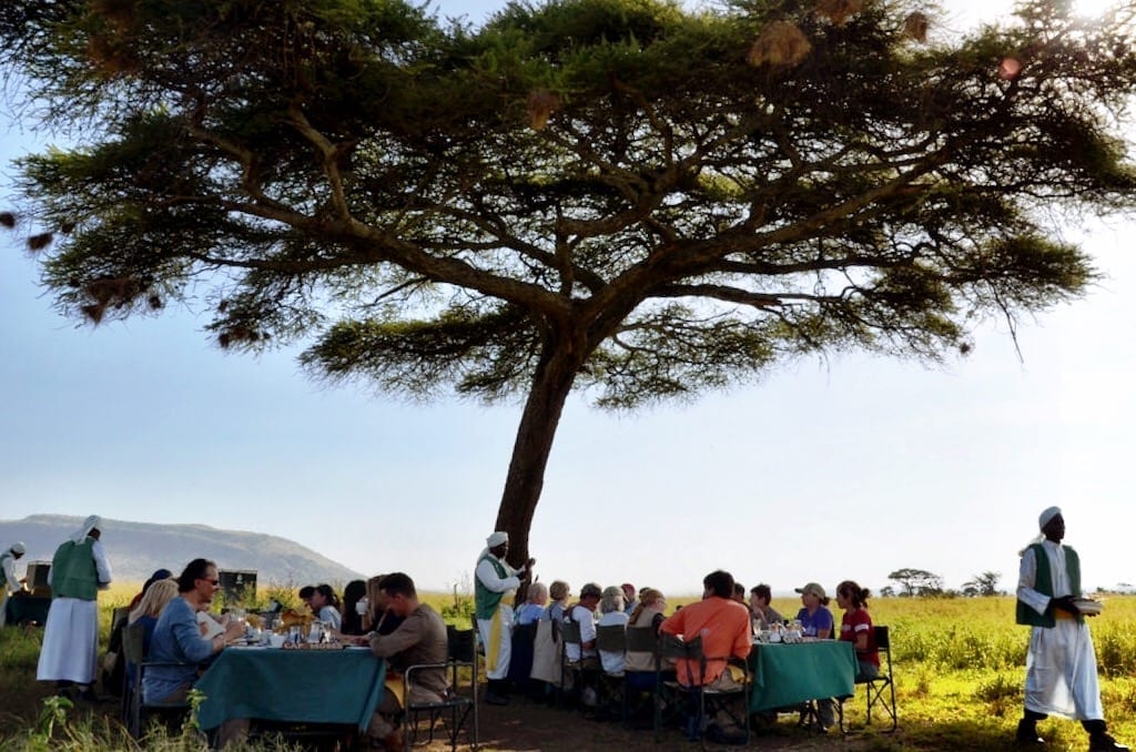 Serengeti Tanzania Africa