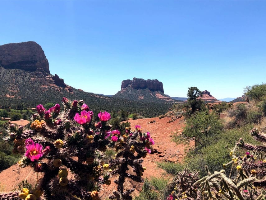 Arizona